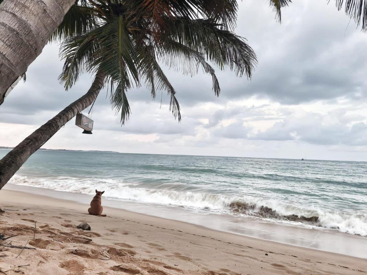 Frangipani Beach Villa タンガラ エクステリア 写真